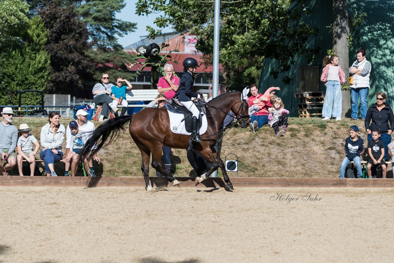 Bild 68 - Pony Akademie Turnier